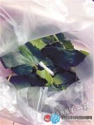 養(yǎng)蠶賣同學被批評 兩九歲男娃放學玩失蹤